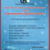 Предновогодний праздничный турнир в БК Алмаз 30 декабря 2012 года