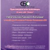 Анонс бильярдного турнира в БК Алмаз 5 мая 2013 года