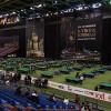 Анонс IX Международного турнира по бильярдному спорту «Кубок Кремля»