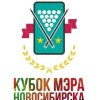 Кубок мэра Новосибирска по бильярдному спорту 2015. Страница турнира