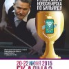Анонс Кубка мэра Новосибирска по бильярдому спорту 2015